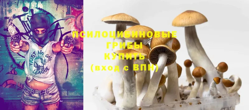 Псилоцибиновые грибы Magic Shrooms  Морозовск 